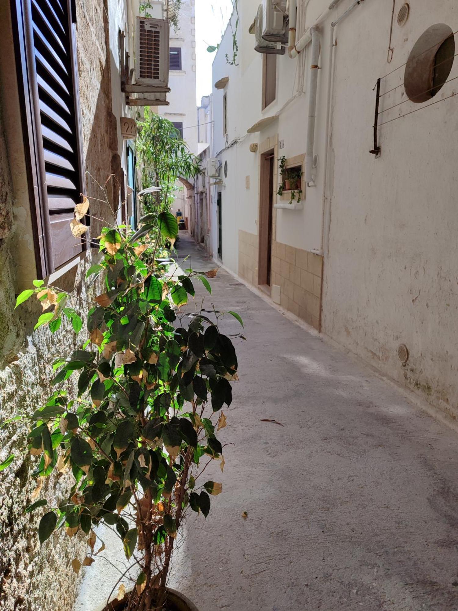 B&B Punta Cutieri Gallipoli Εξωτερικό φωτογραφία