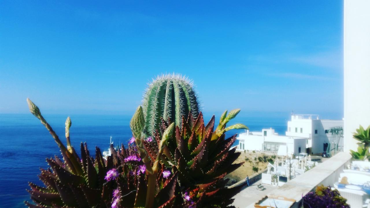 B&B Punta Cutieri Gallipoli Εξωτερικό φωτογραφία