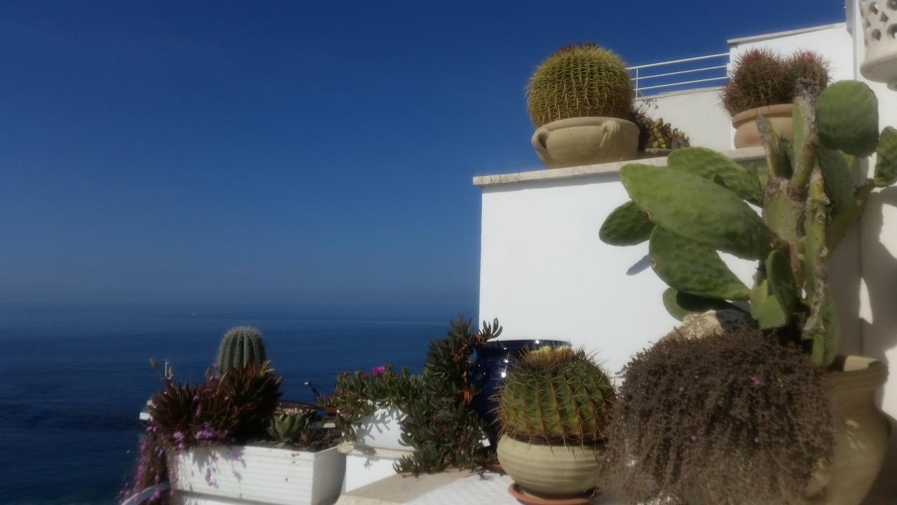 B&B Punta Cutieri Gallipoli Εξωτερικό φωτογραφία