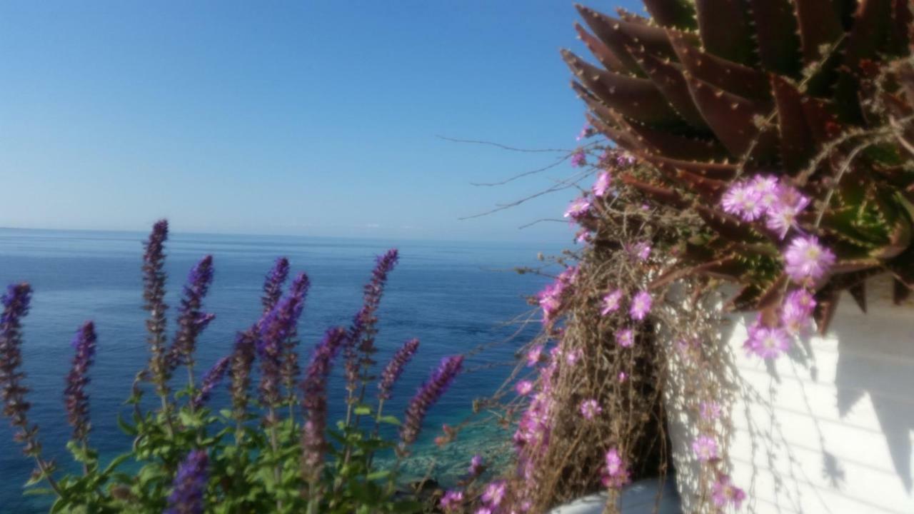 B&B Punta Cutieri Gallipoli Εξωτερικό φωτογραφία